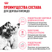 Royal Canin Mother&Babycat Корм сухой для котят в период первой фазы роста и отъема, беременных и кормящих кошек, 0,4 кг
